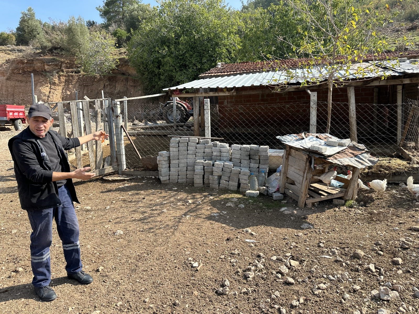 İnek Ve Tavuklar Şikayet Konusu Oldu (7)