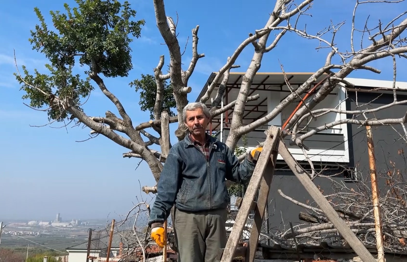 İnek Ve Tavuklar Şikayet Konusu Oldu (8)