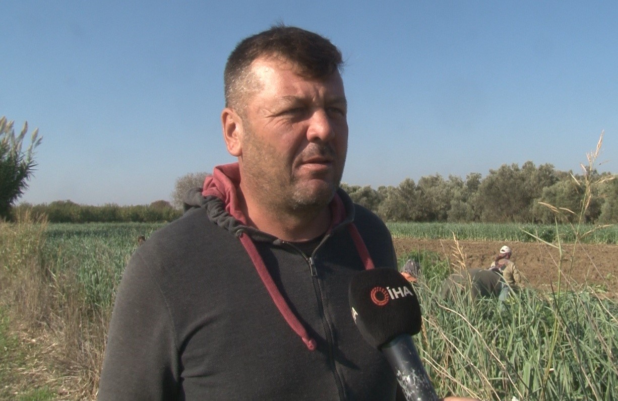 Pırasada Sevindiren Gelişme (6)