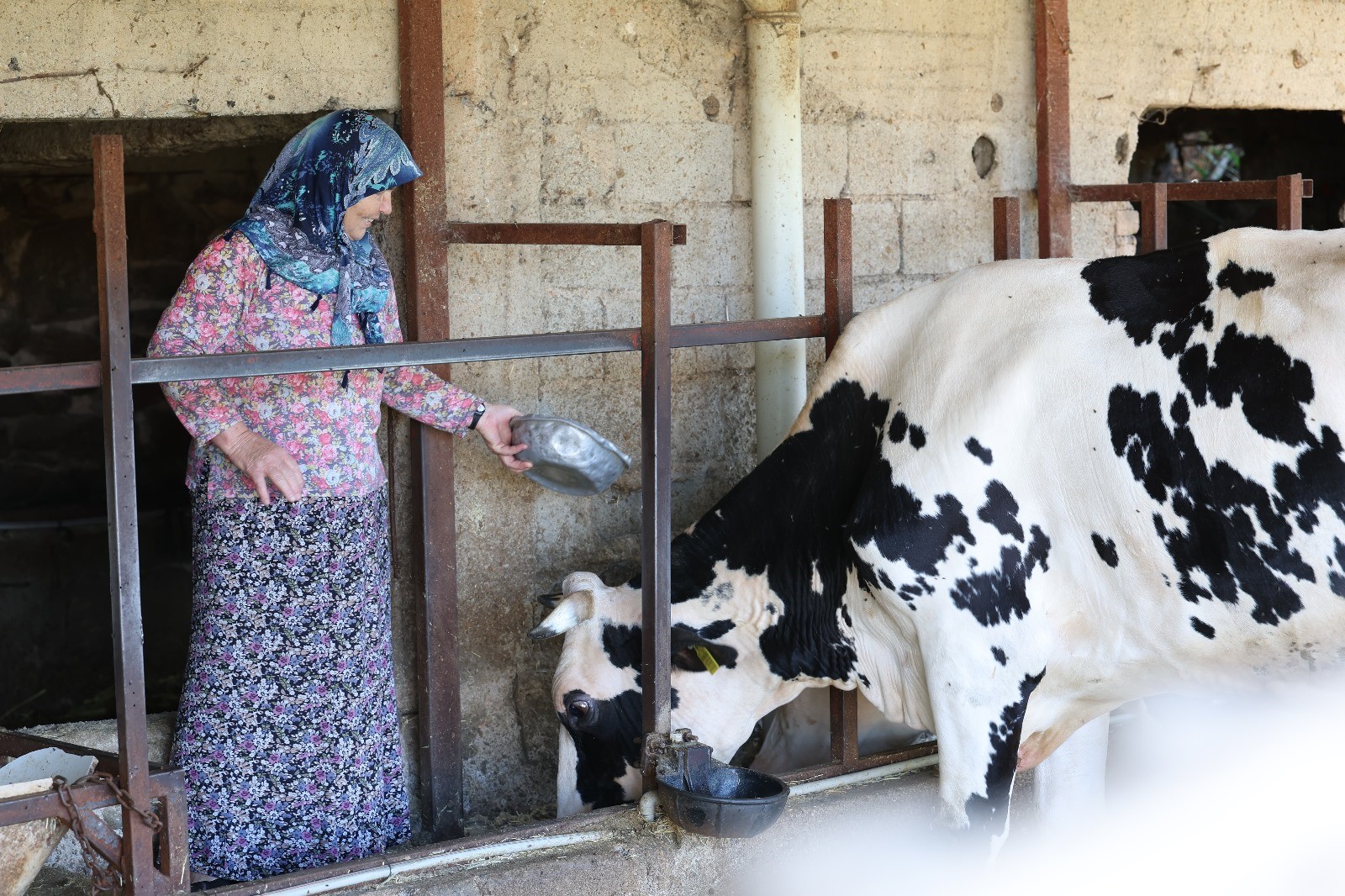 Yarım Asırlık Hasret Sona Erdi (6)