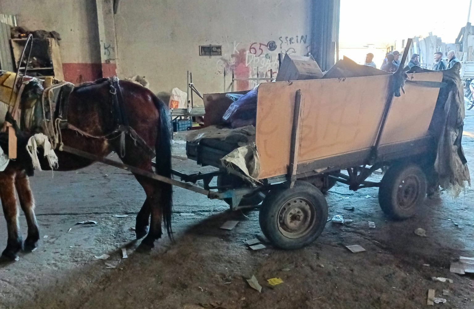 At Arabası Operasyonu.. İkisi De Trafikten Men Edildi (3)