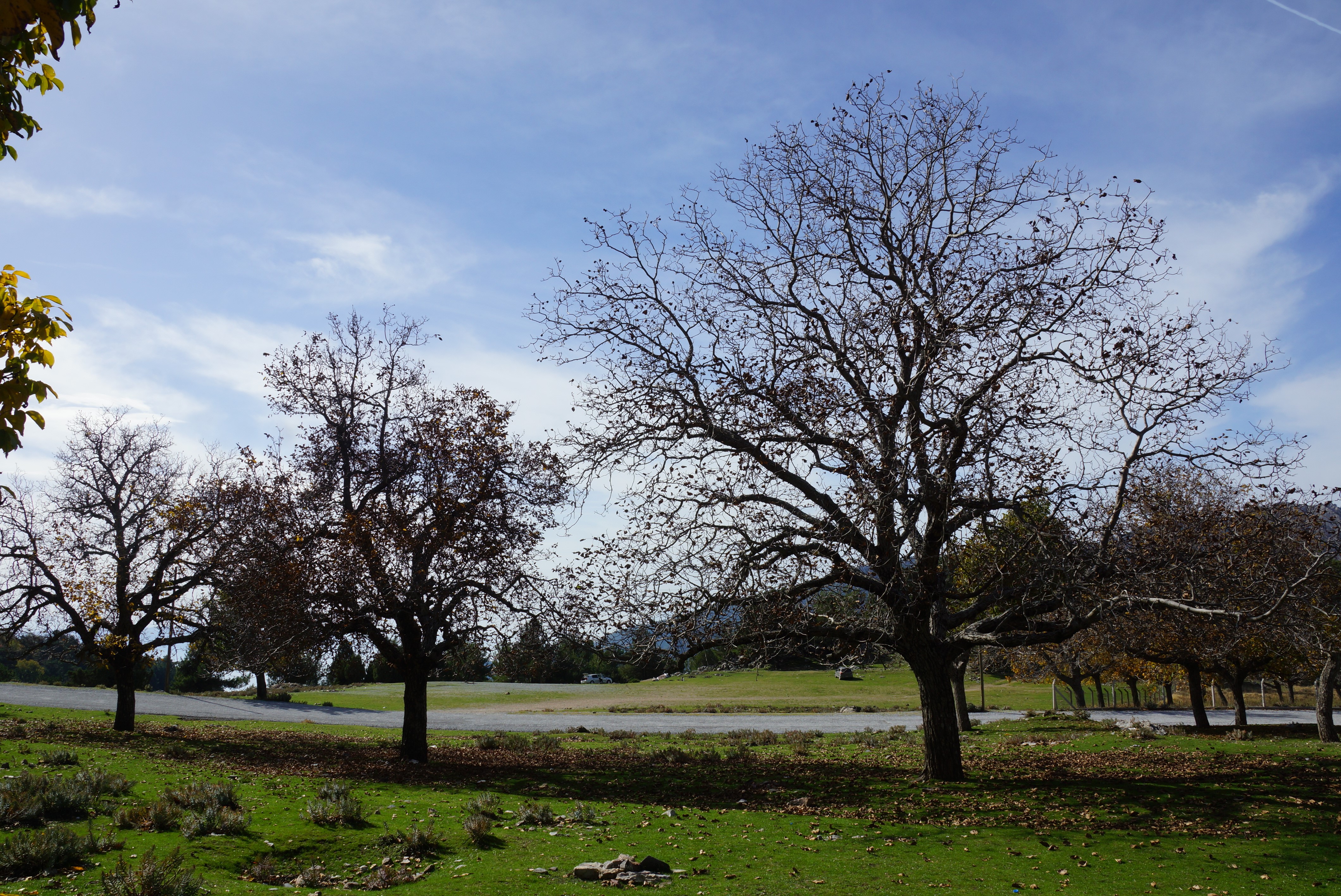 Aydın Dağları Sonbahara Kucak Açtı (7)