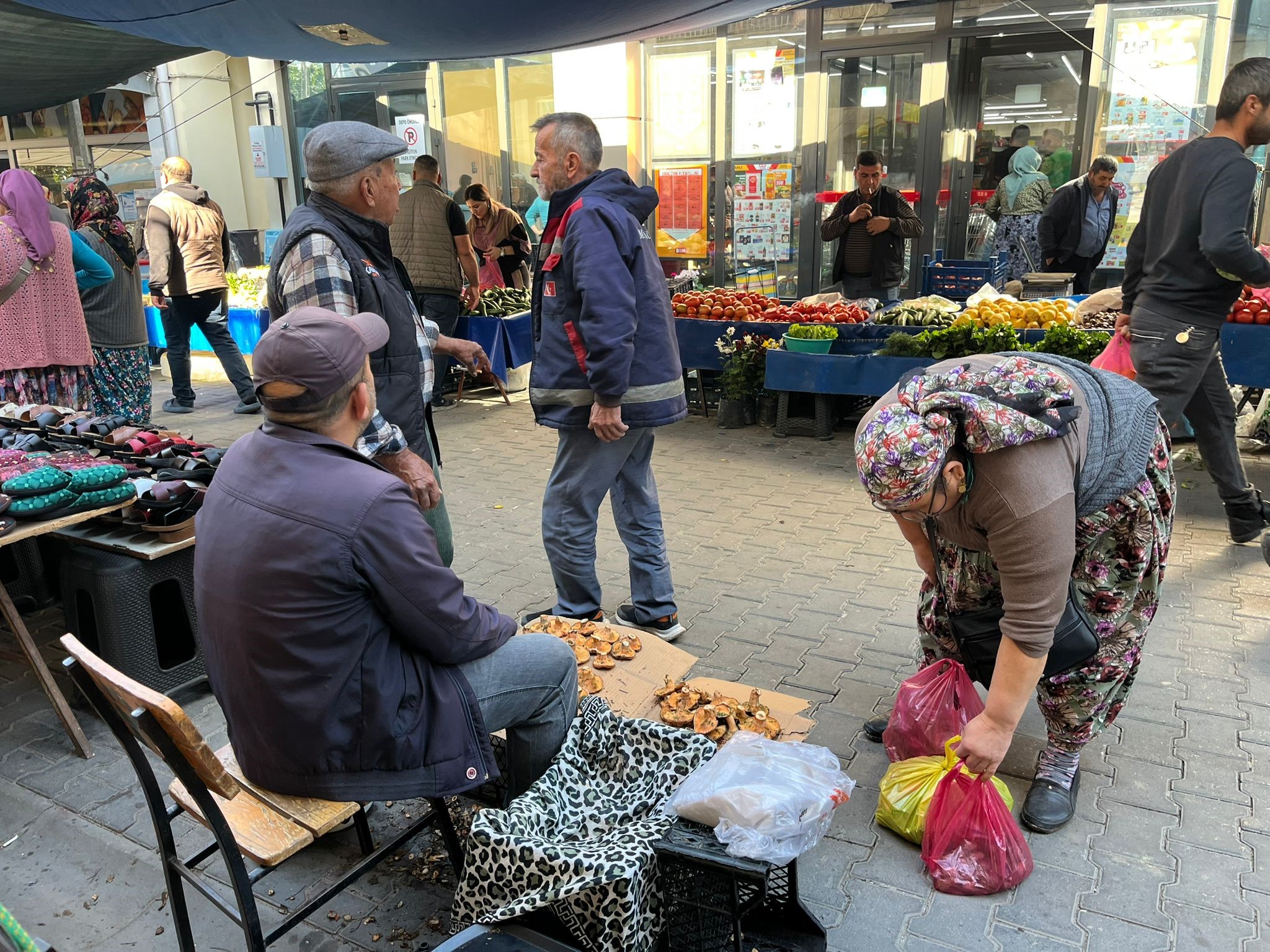 Aydın'da Çıntar Çıktı, Kilosu 500 Tl (5)