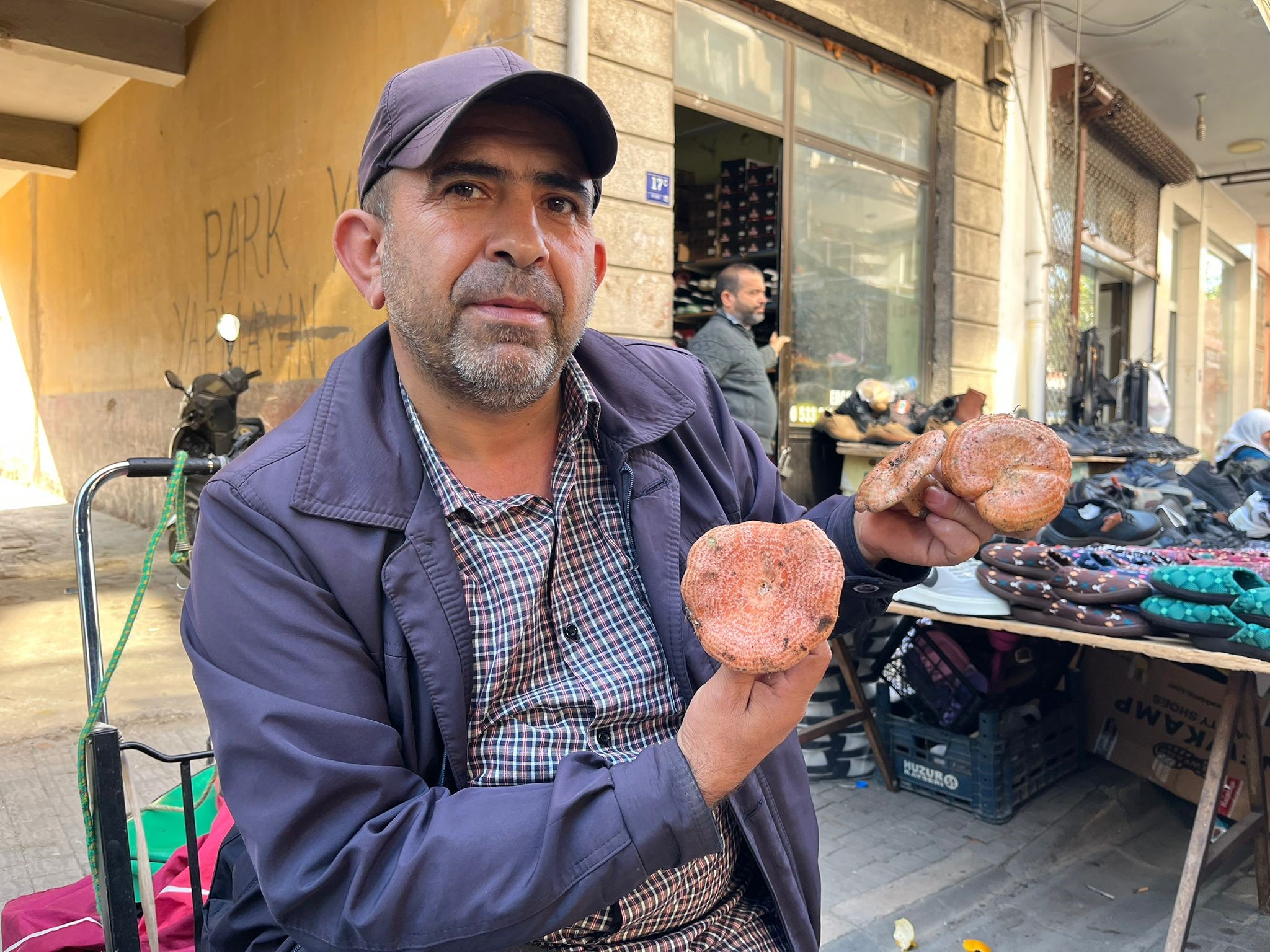 Aydın'da Çıntar Çıktı, Kilosu 500 Tl (7)