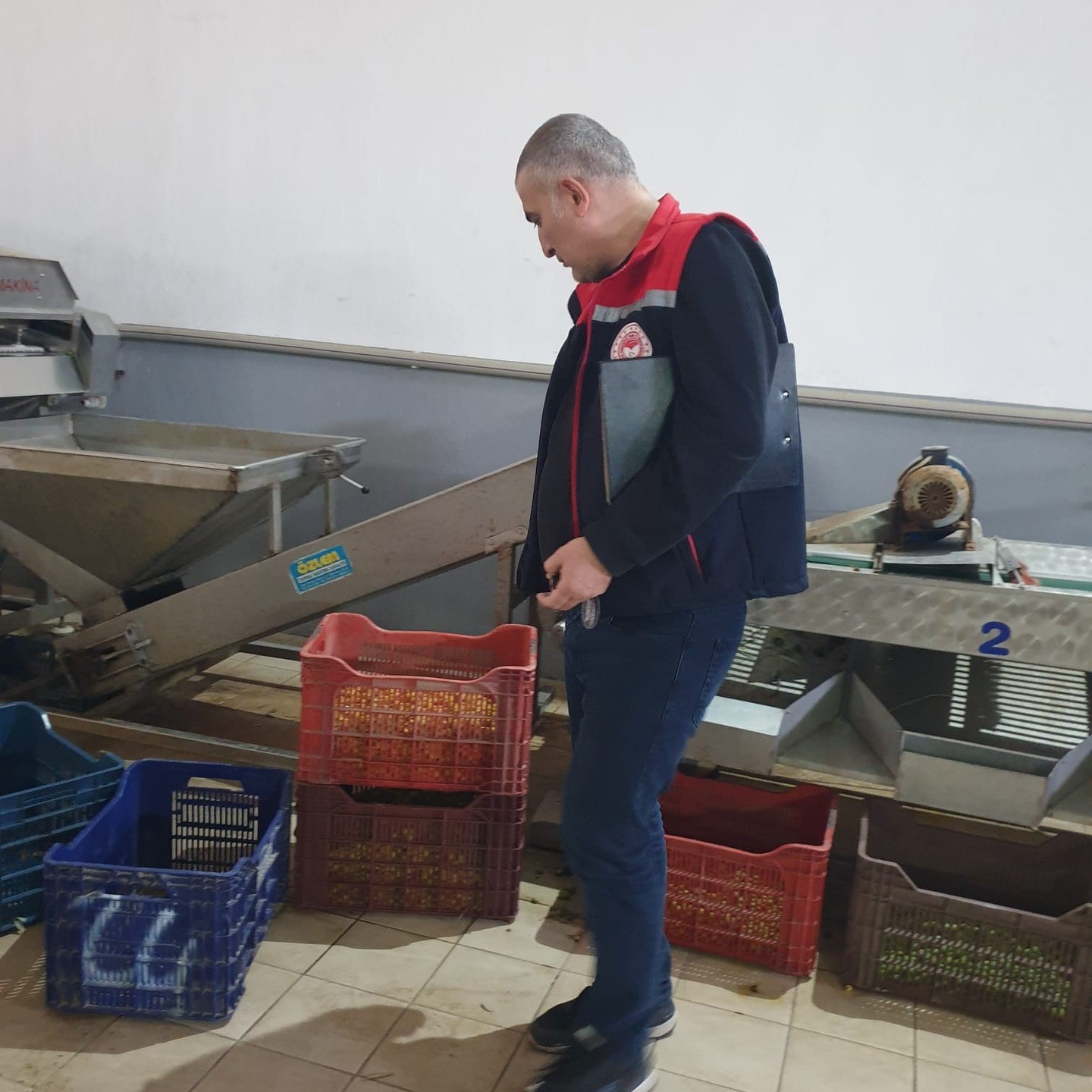 Aydın’da Ekipler Zeytinde Kalite Kontrol Çalışması Yaptı (5)