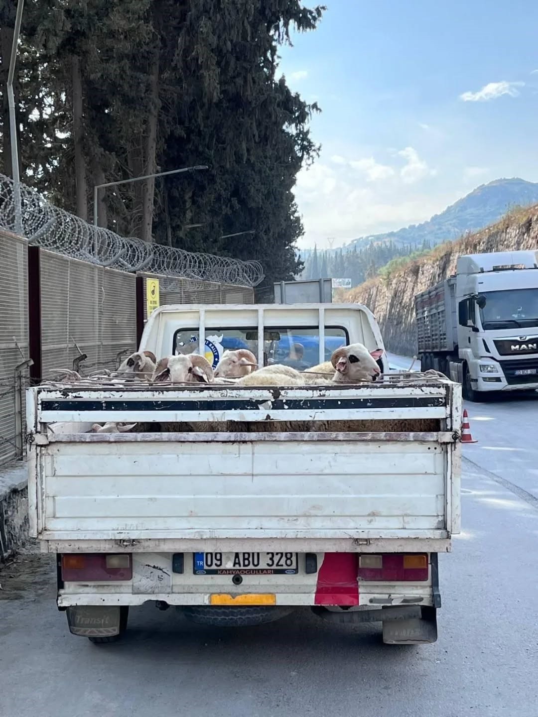 Aydın’da Hastalık Nedeniyle Yol Kontrolleri Başladı (2)