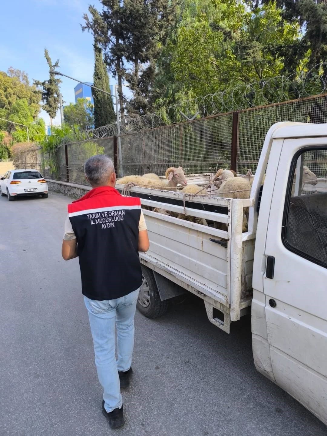 Aydın’da Hastalık Nedeniyle Yol Kontrolleri Başladı (3)