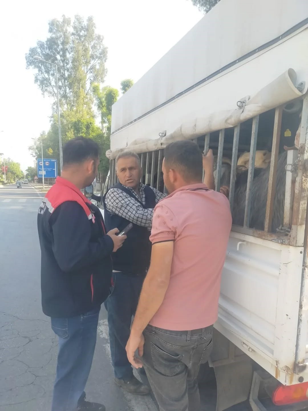 Aydın’da Hastalık Nedeniyle Yol Kontrolleri Başladı (4)