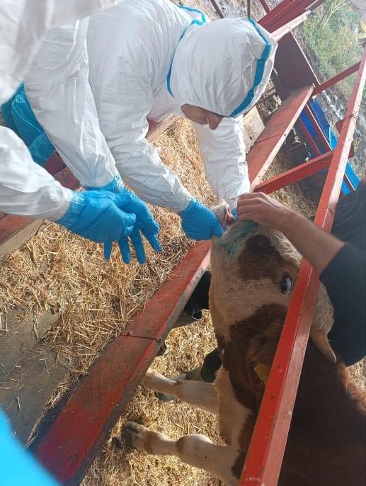Aydın’da Hastalıkla Mücadele Devam Ediyor (3)