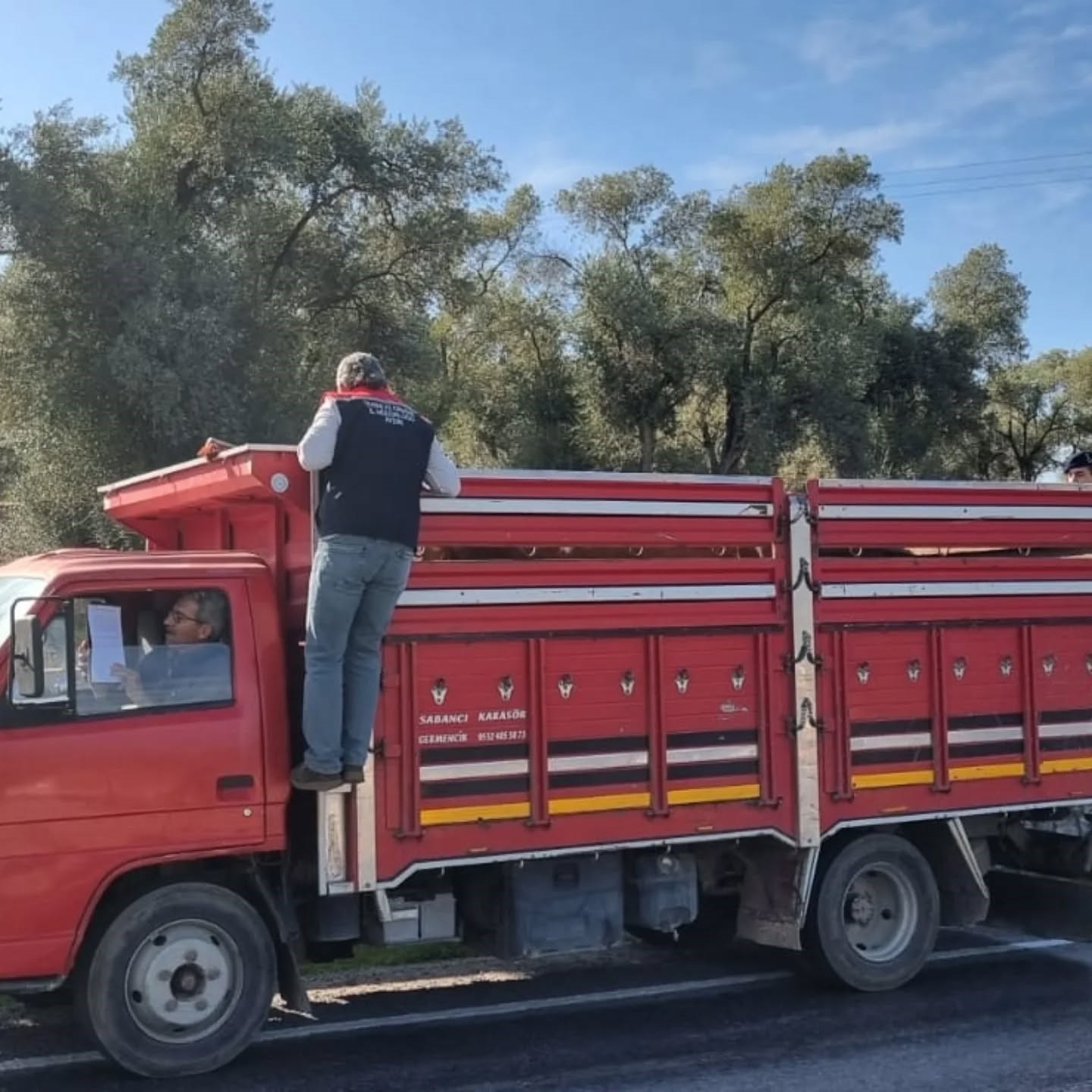 Aydın’da Hayvan Taşıyan Araçlar Durduruldu (2)