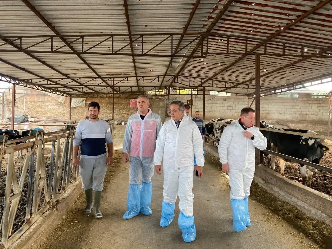 Aydın’da Hayvanlara 565 Bin 687 Doz Aşı Yapıldı (2)