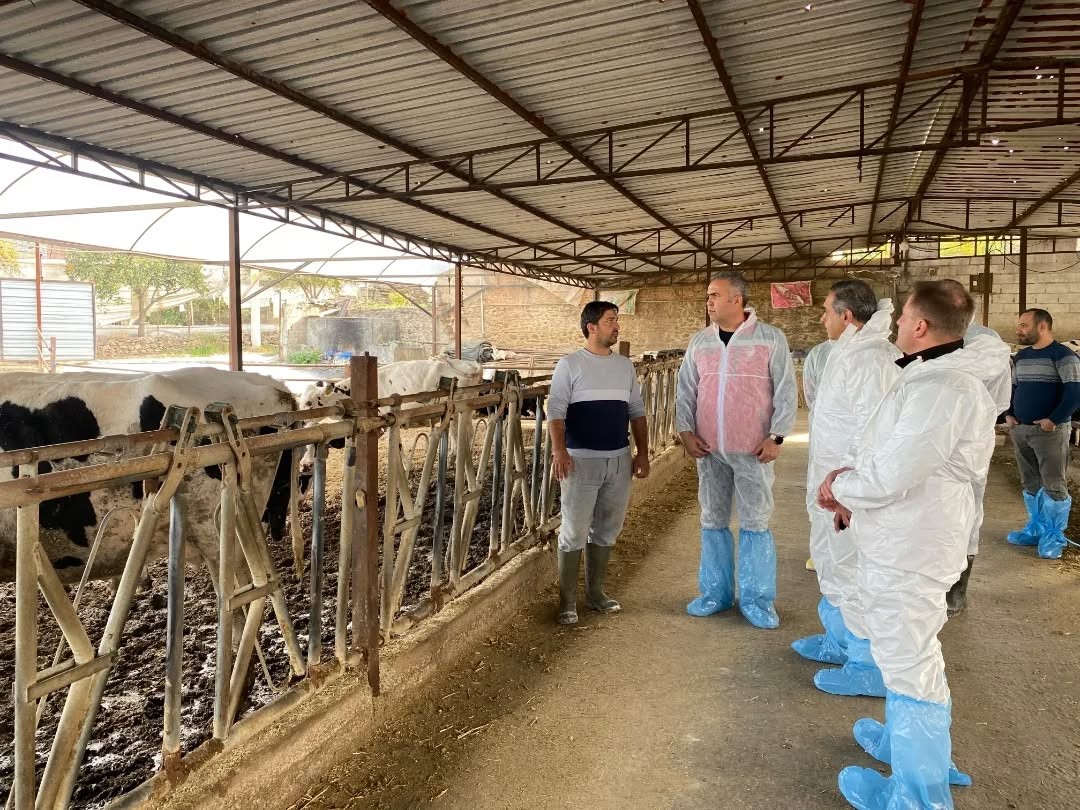 Aydın’da Hayvanlara 565 Bin 687 Doz Aşı Yapıldı (3)