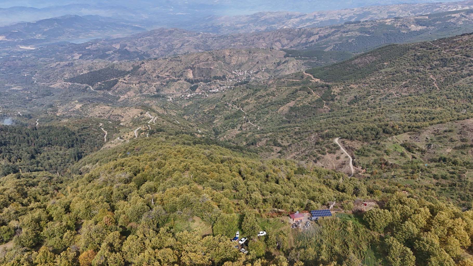 Aydın’da Kaymakam Köylülerle Birlikte Hasada Katıldı (12)