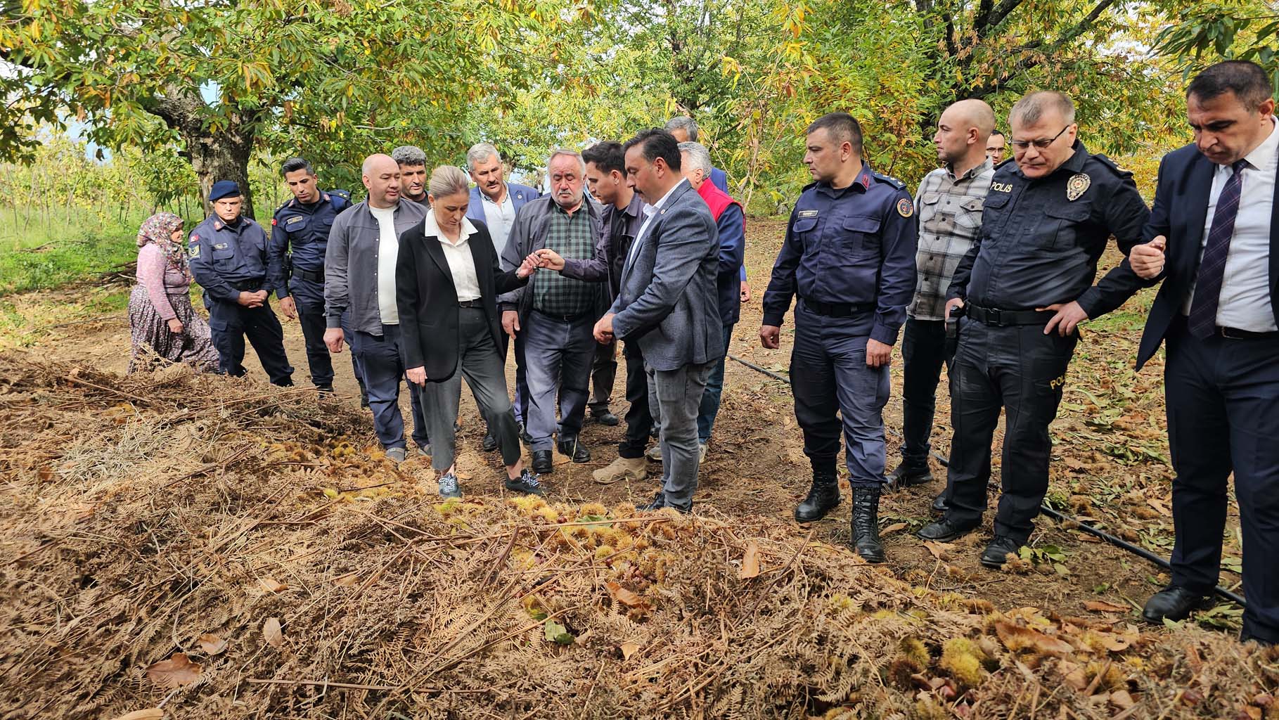 Aydın’da Kaymakam Köylülerle Birlikte Hasada Katıldı (4)