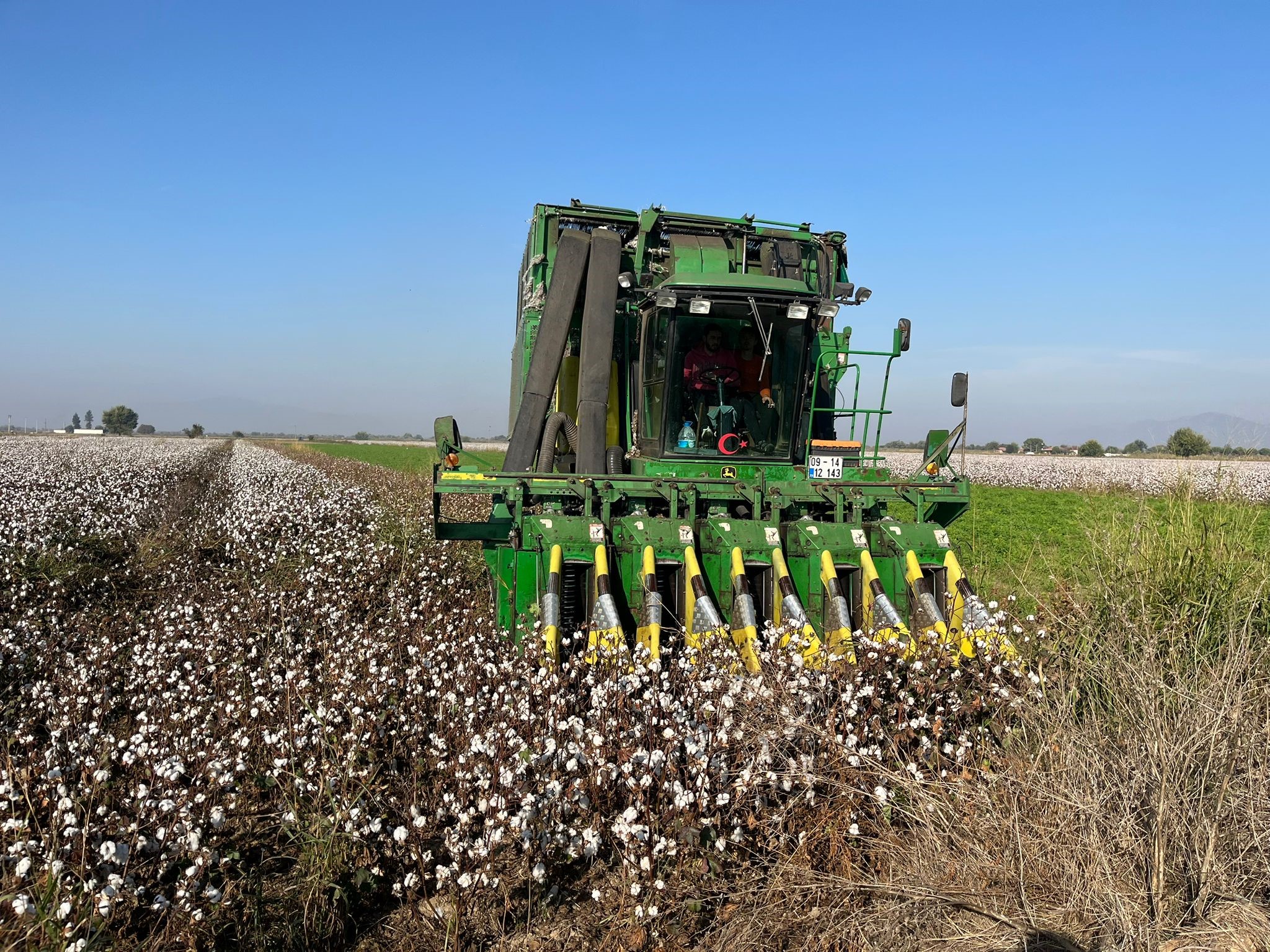 Aydın’da Pamuk Tarlalarından Kötü Haber (5)