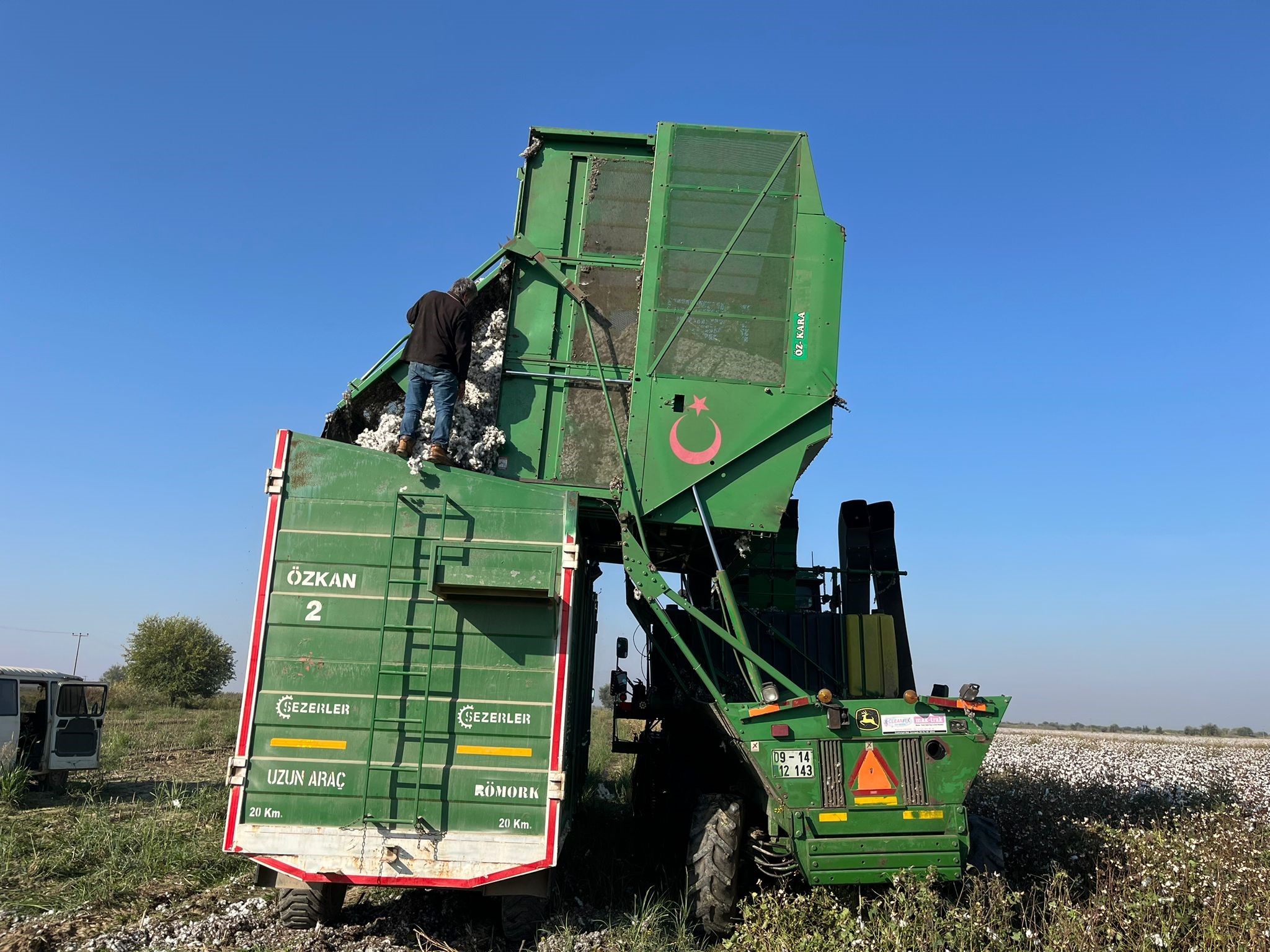 Aydın’da Pamuk Tarlalarından Kötü Haber (6)