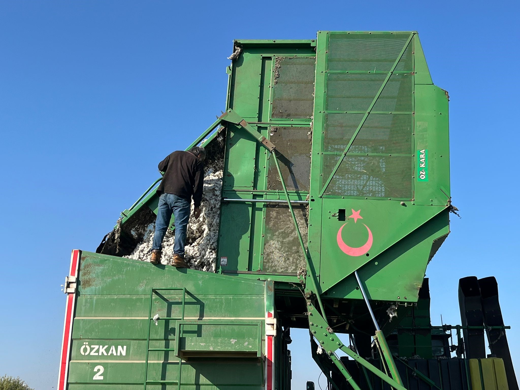 Aydın’da Pamuk Tarlalarından Kötü Haber (7)
