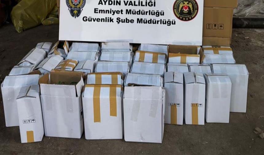 Aydın’da Sahte Zeytinyağı Operasyonunda 1600 Litre Yakalandı (1)