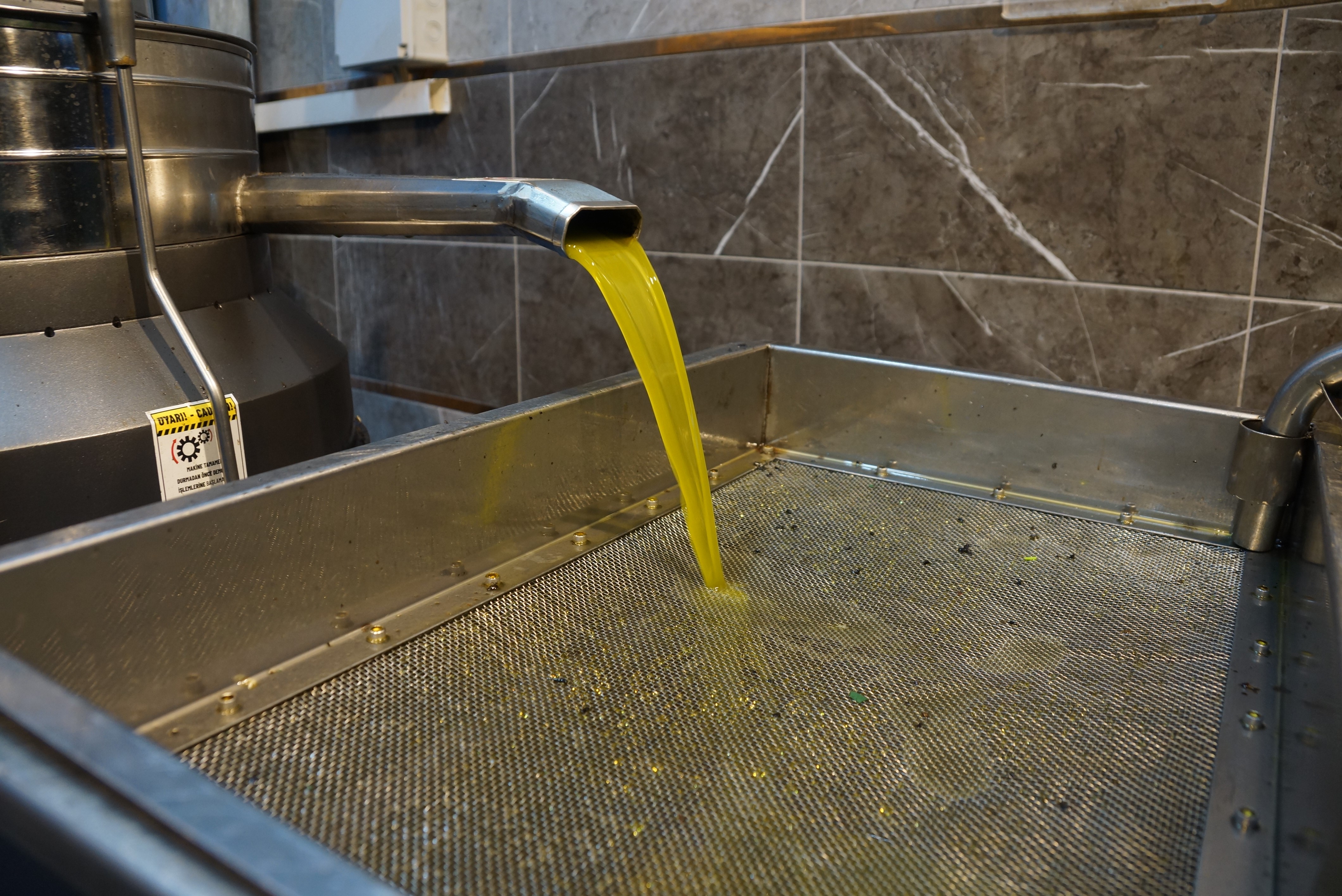 Aydın’da Zeytinin Yağa Dönüşümü Başladı (2)