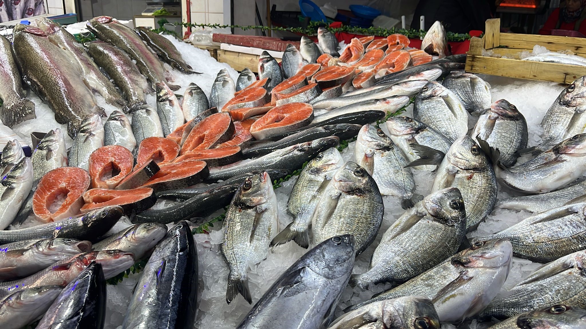 Balık Pazarının Gözdesi Hamsi (3)