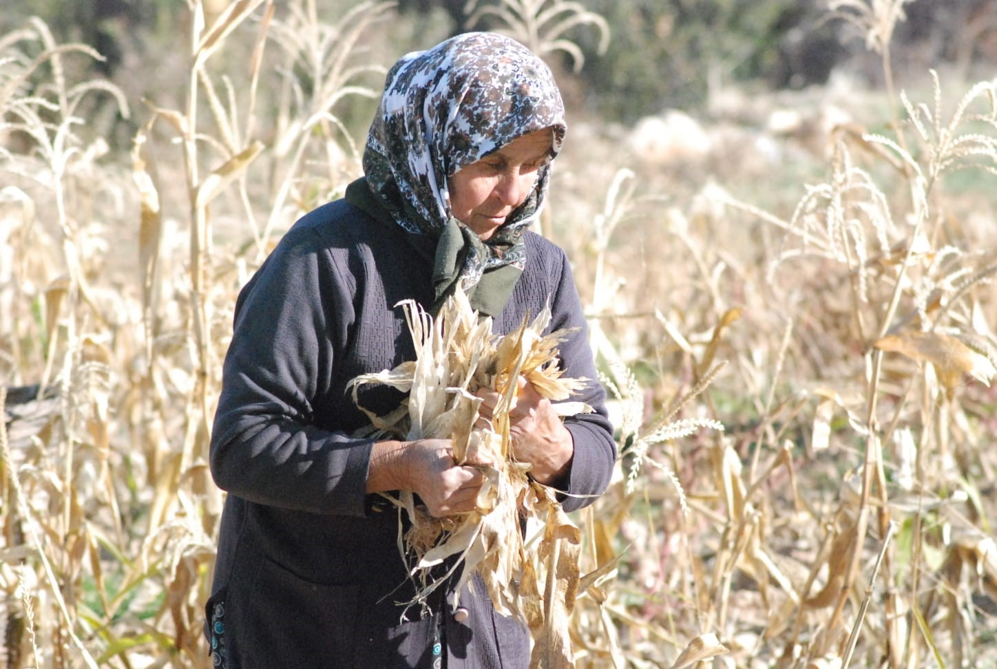 Benzersiz Dokuma Örneği.. Mısır Kapçığı Hasır Dokuma (8)