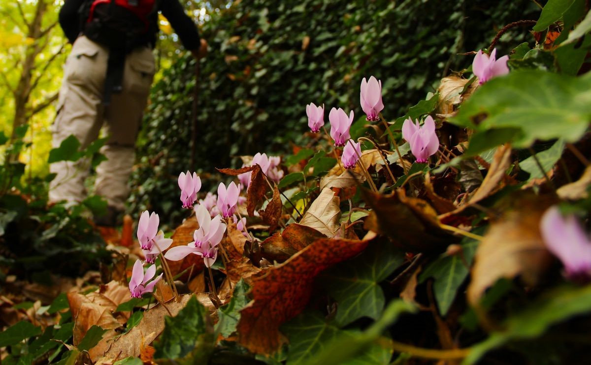 Burası Aydın’ın Saklı Cenneti (8)