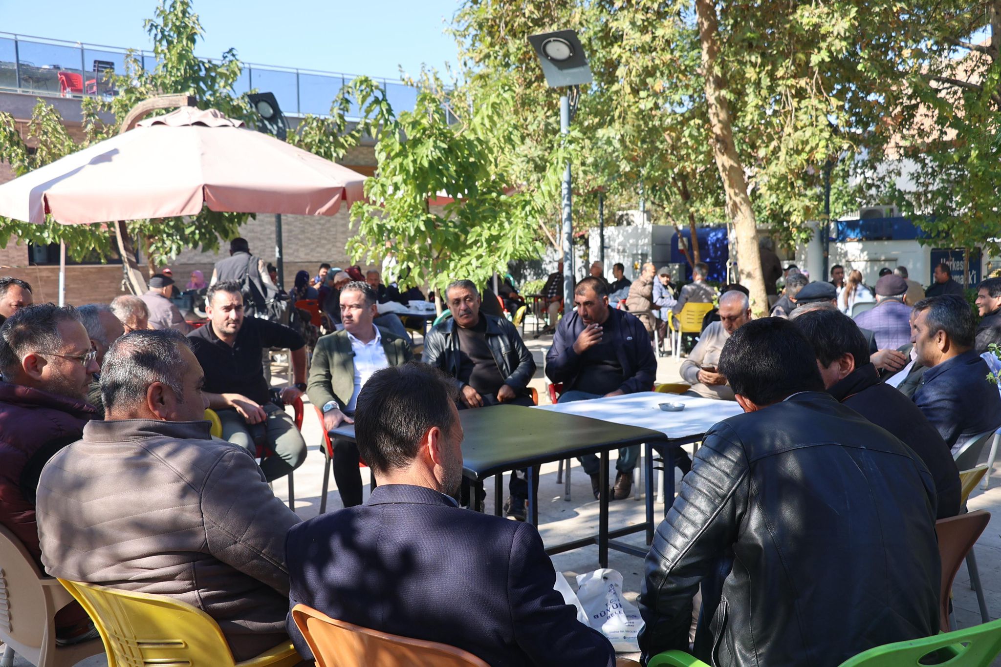 Büyükşehir Belediyesi Koçarlı’da Tohuma Kaçtı (1)