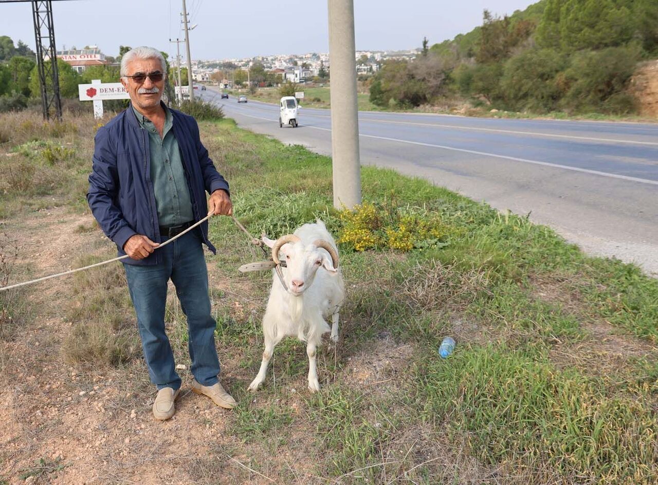 Çorum’dan Aydın’a Geldi, Keçi Beslemeye Başladı (2)-1