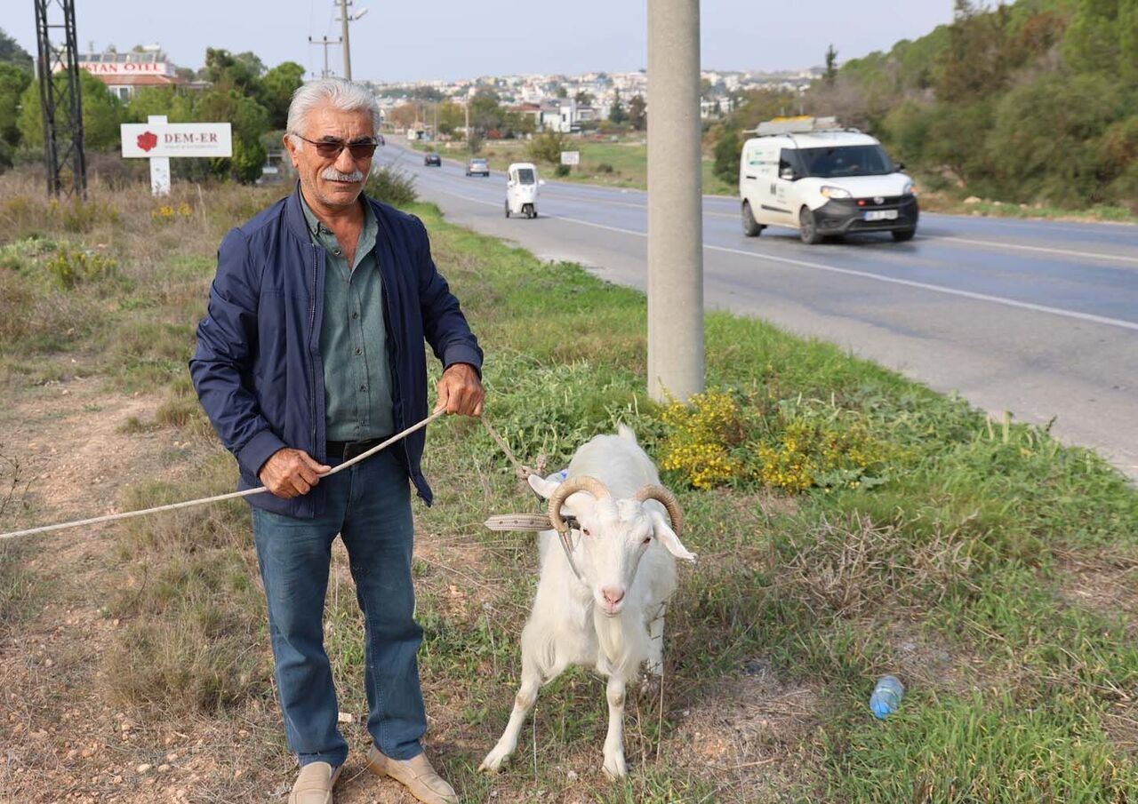 Çorum’dan Aydın’a Geldi, Keçi Beslemeye Başladı (3)