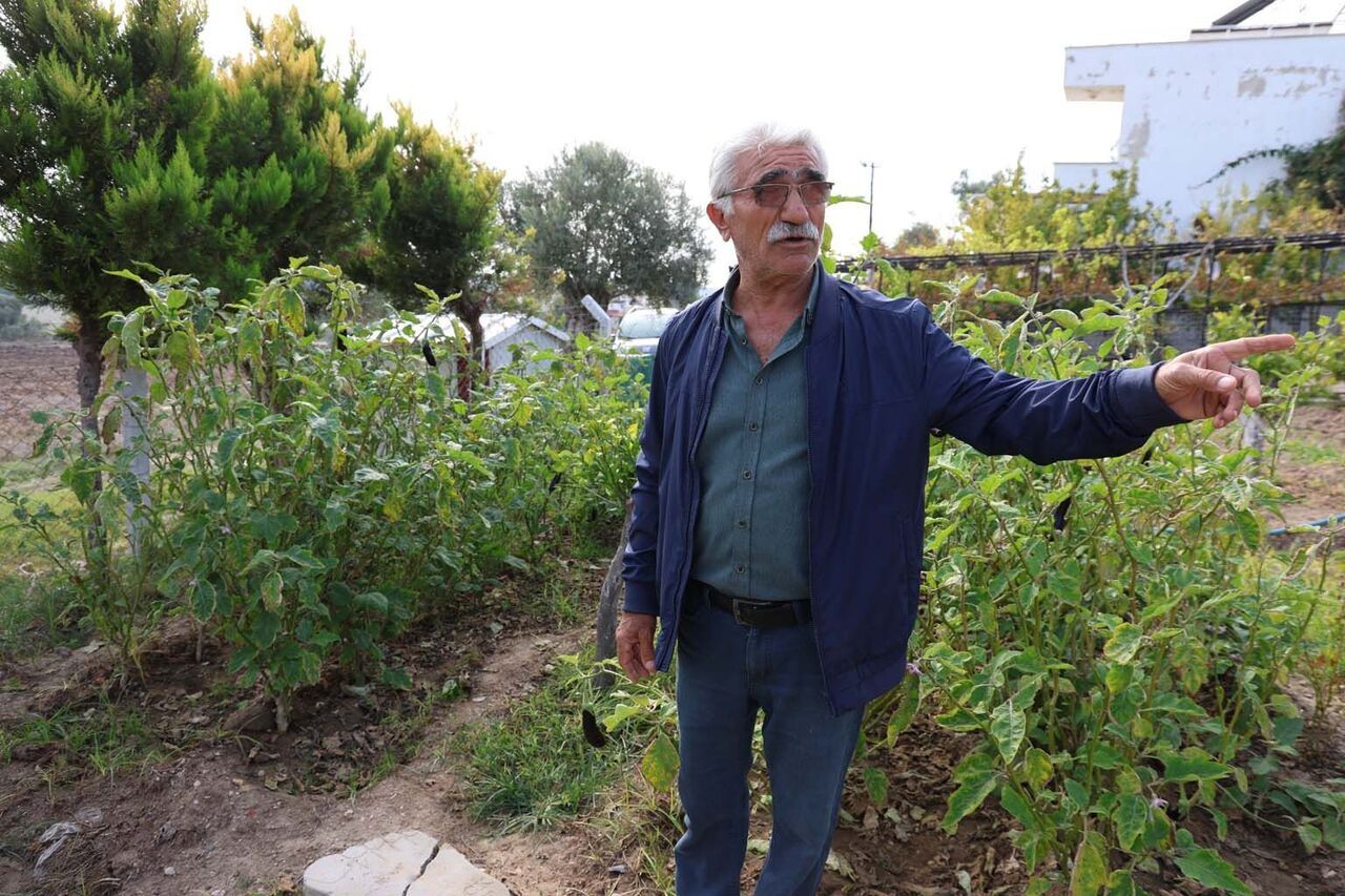 Çorum’dan Aydın’a Geldi, Keçi Beslemeye Başladı (4)
