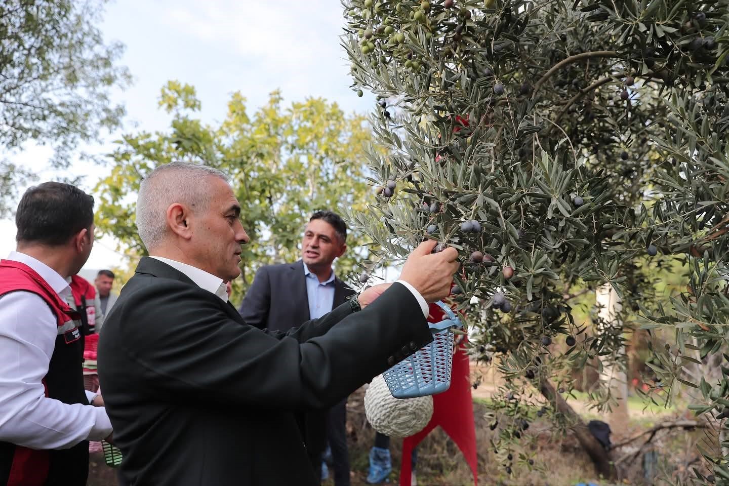 Ekipler Zeytin Bahçelerinde (3)