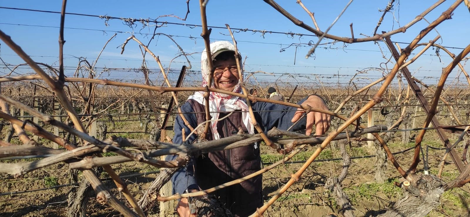 Günlük 1500 Liraya Çalışacak Işçi Aranıyor (3)