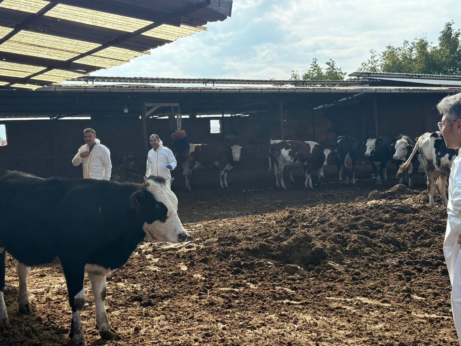 Hastalık Yayılıyor, Tedbirler Arttırıldı (2)