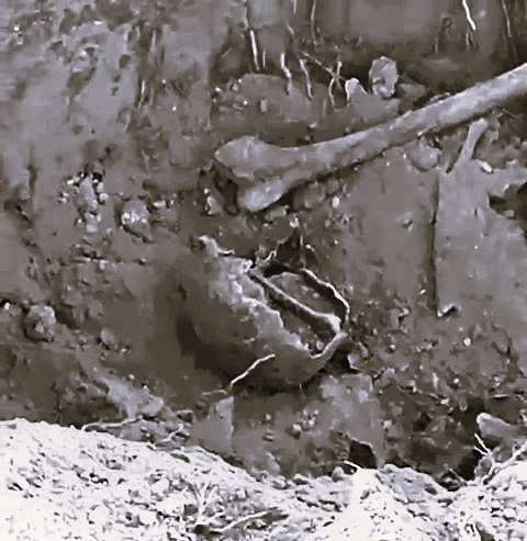 İnsana Ait Kemik Parçaları Bulundu (4)