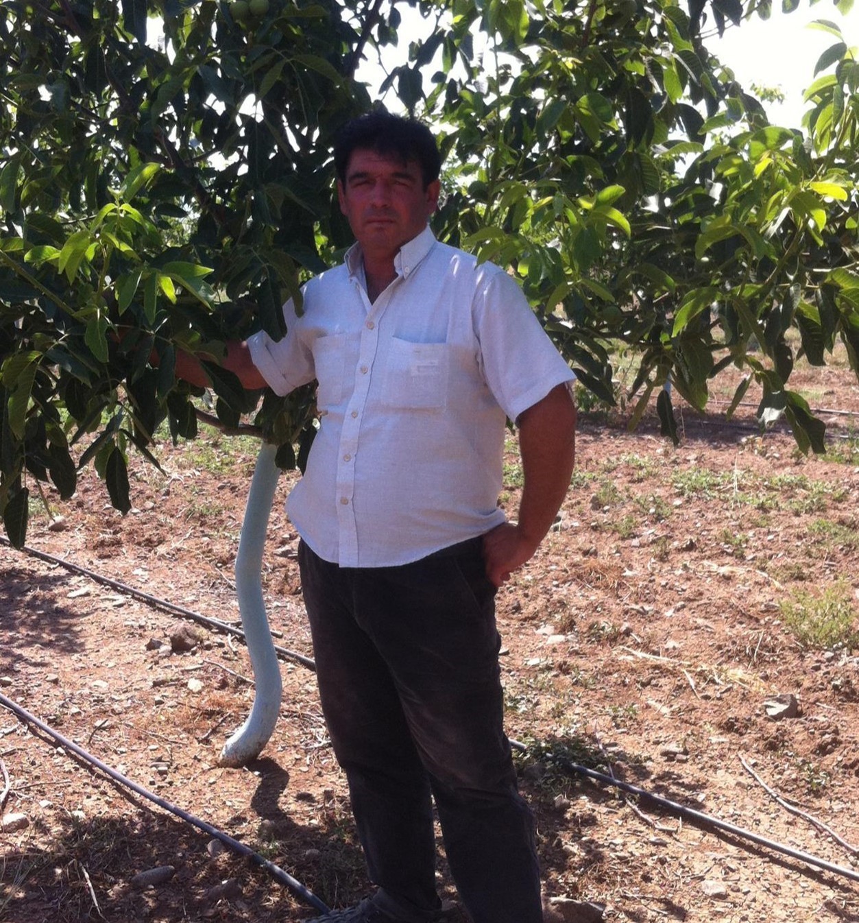 Kadın Çiftçi Cinayete Kurban Gitti (4)