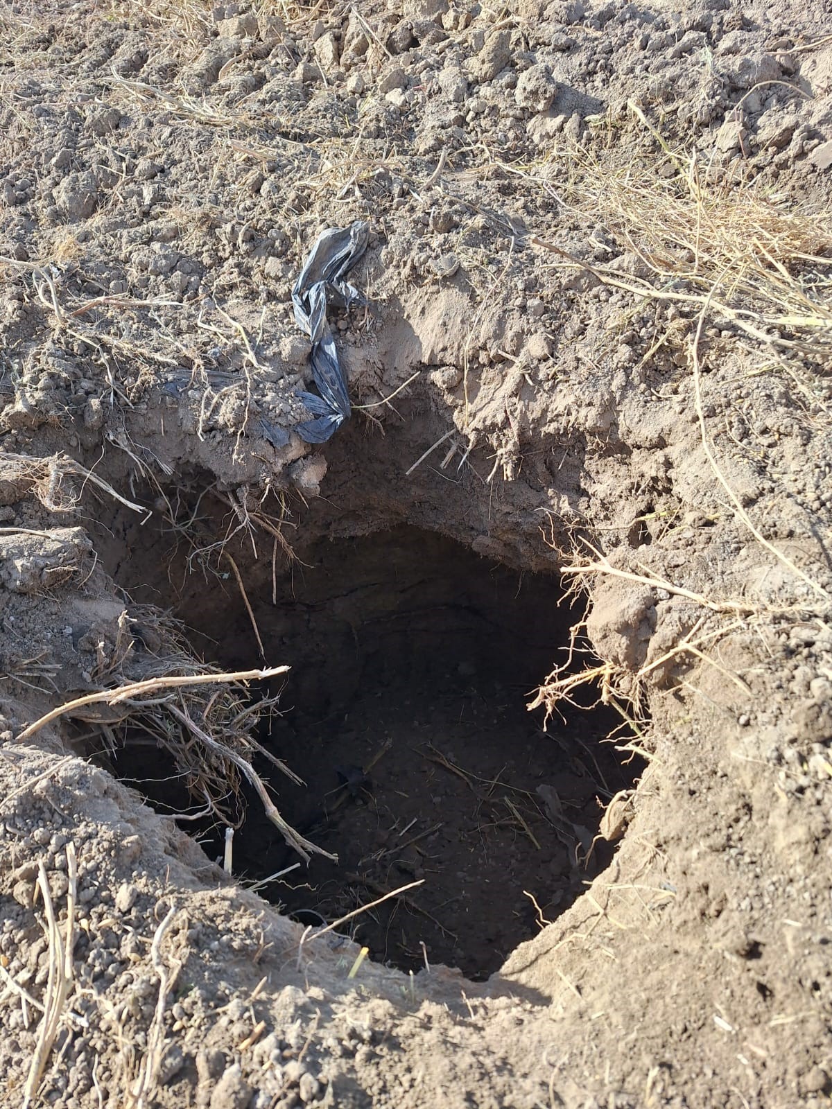 Mahalleyi Korkutan Görüntü.. Bir Gecede Oluştu (2)
