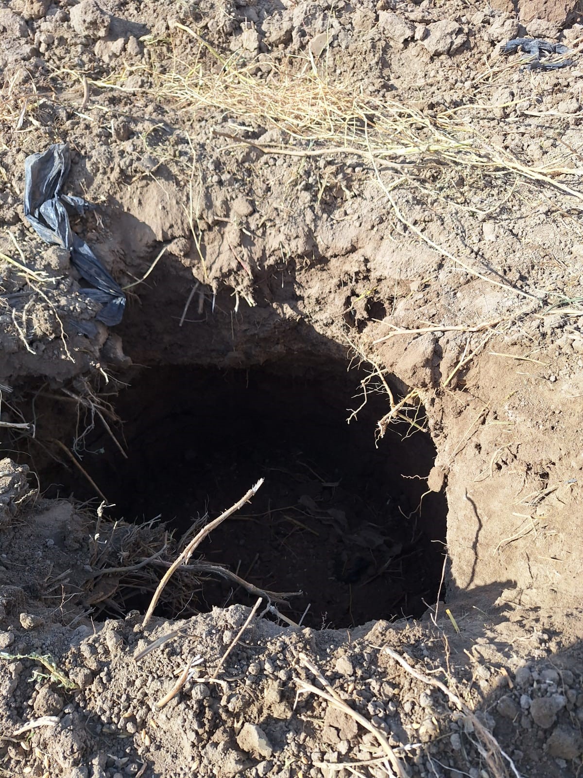 Mahalleyi Korkutan Görüntü.. Bir Gecede Oluştu (3)