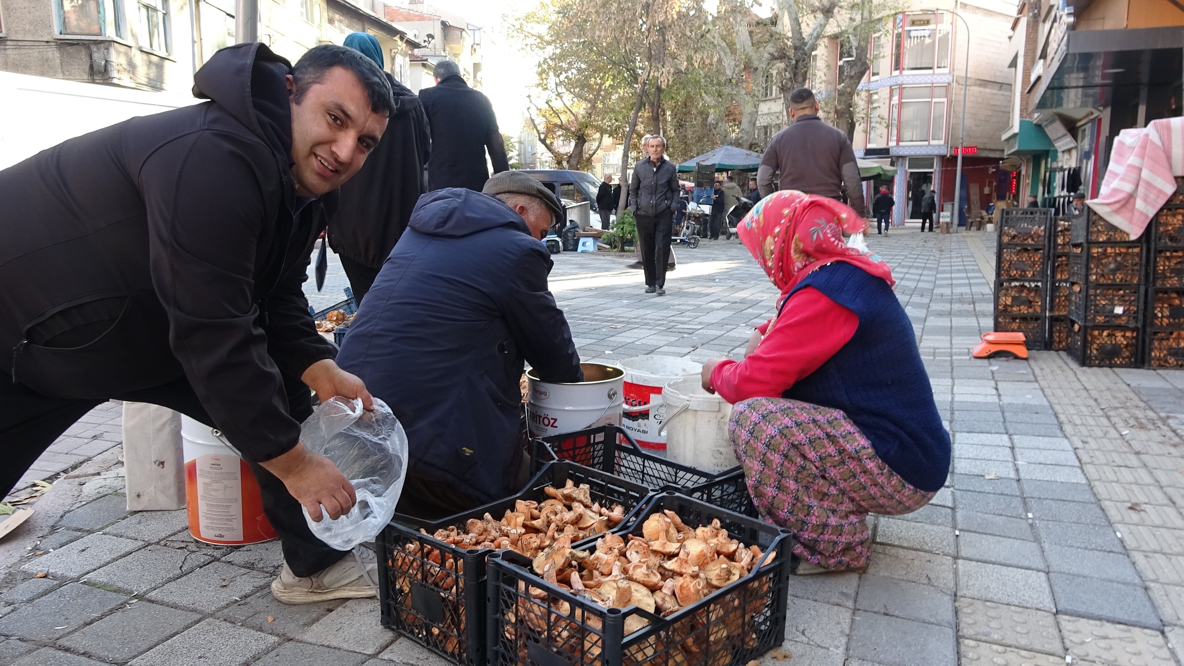 Melki Mantarı Çoğaldı, Fiyatlar Şaşırttı (4)