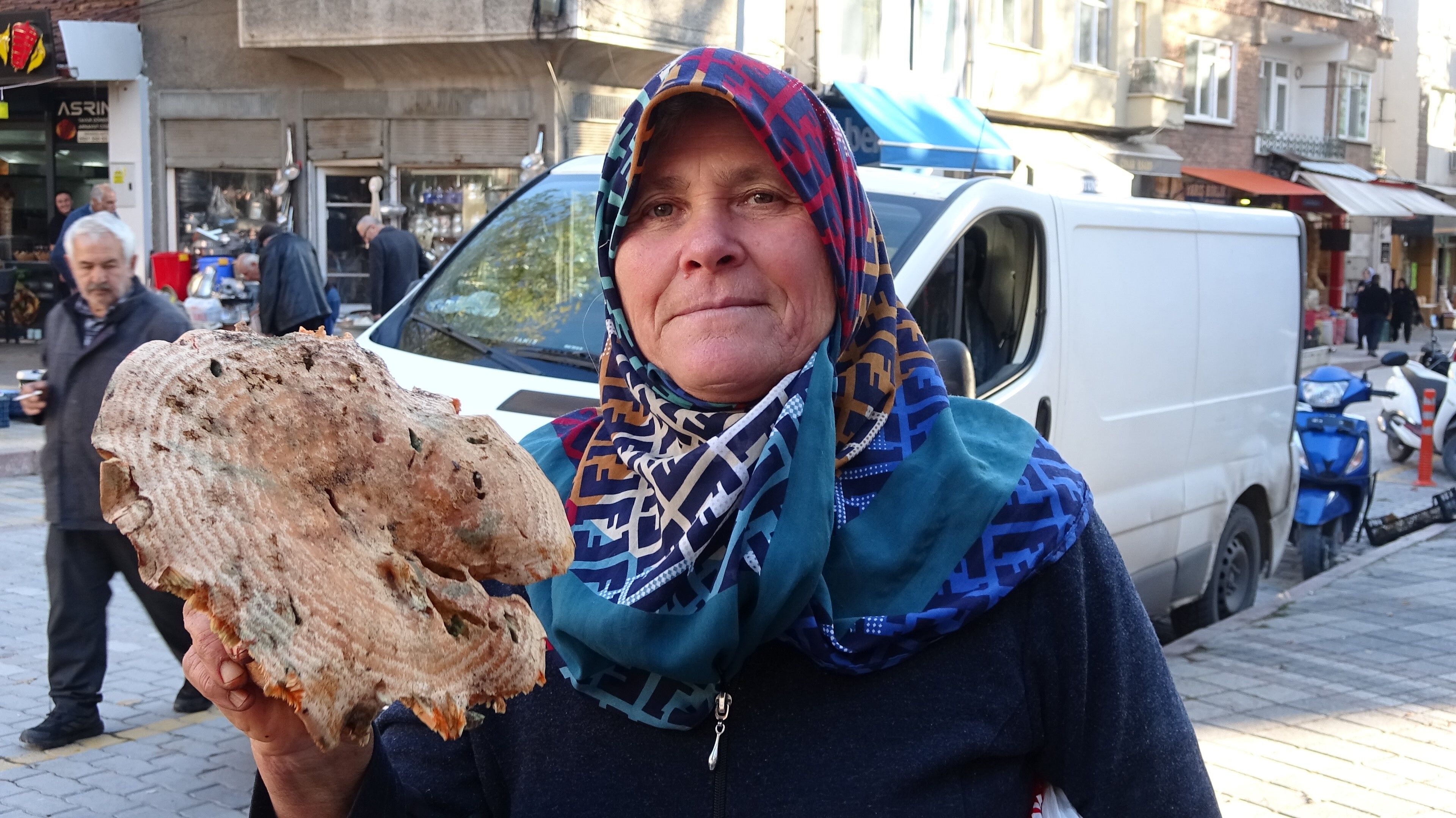 Melki Mantarı Çoğaldı, Fiyatlar Şaşırttı (5)