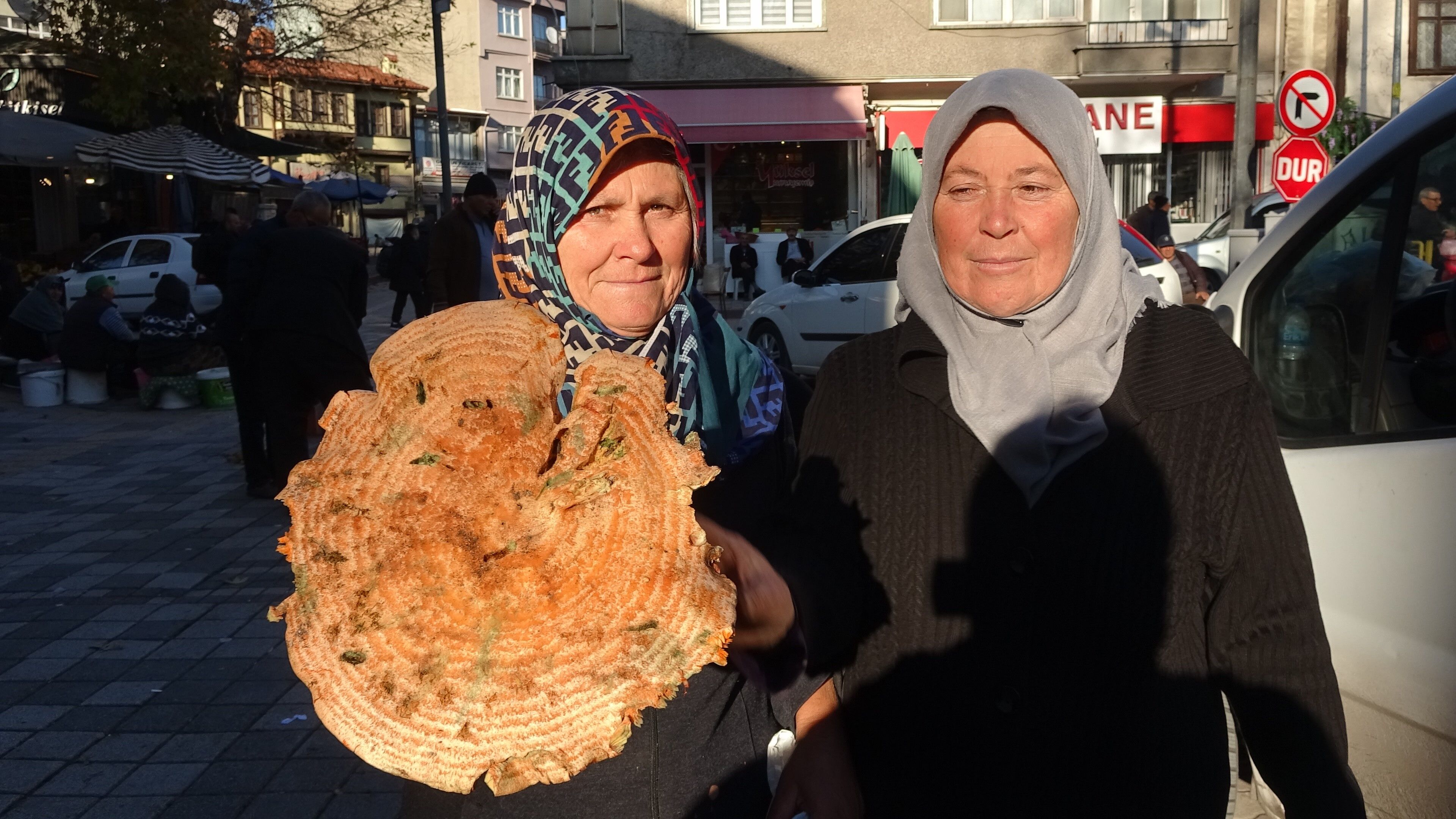 Melki Mantarı Çoğaldı, Fiyatlar Şaşırttı (6)