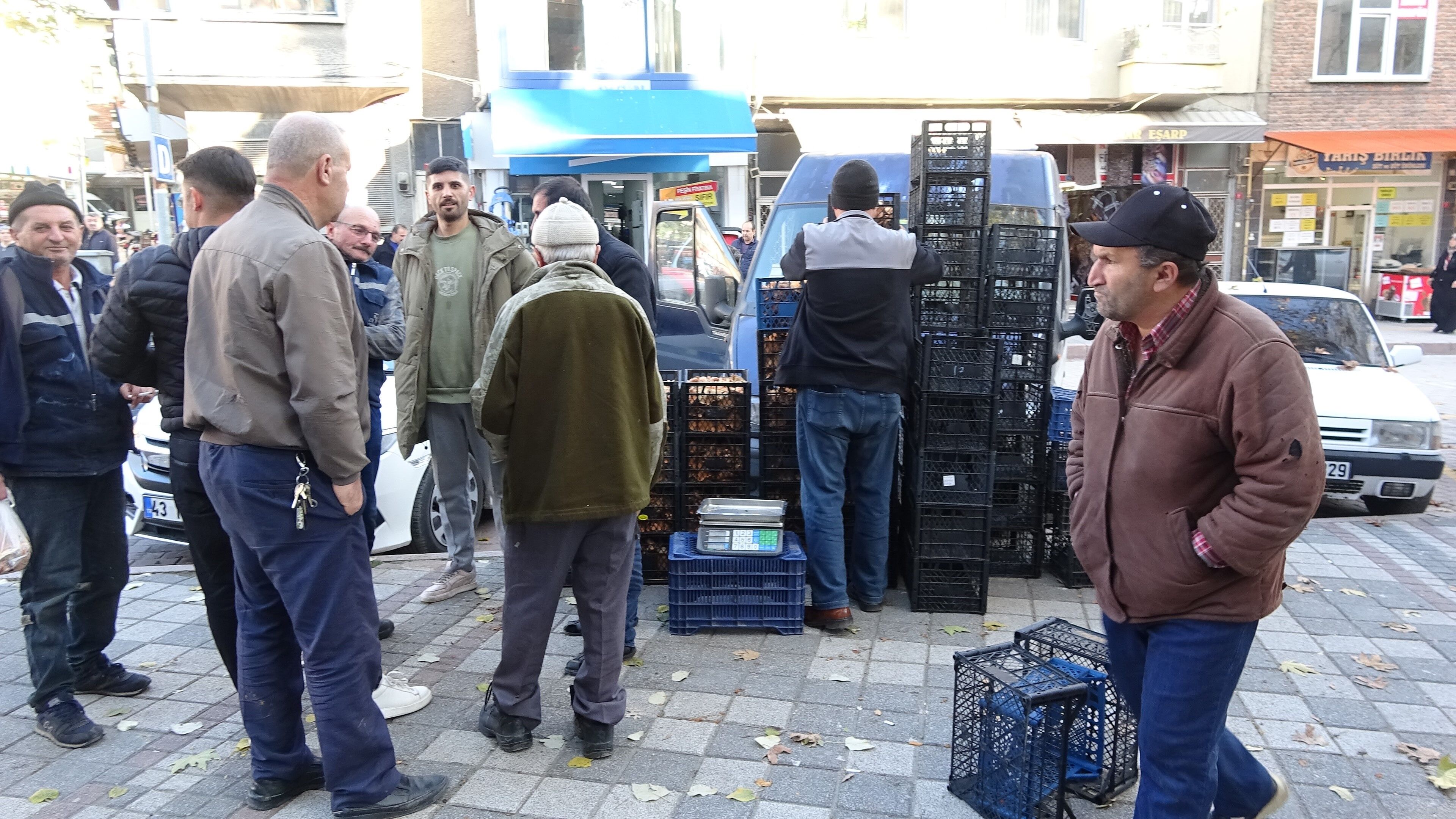 Melki Mantarı Çoğaldı, Fiyatlar Şaşırttı (7)