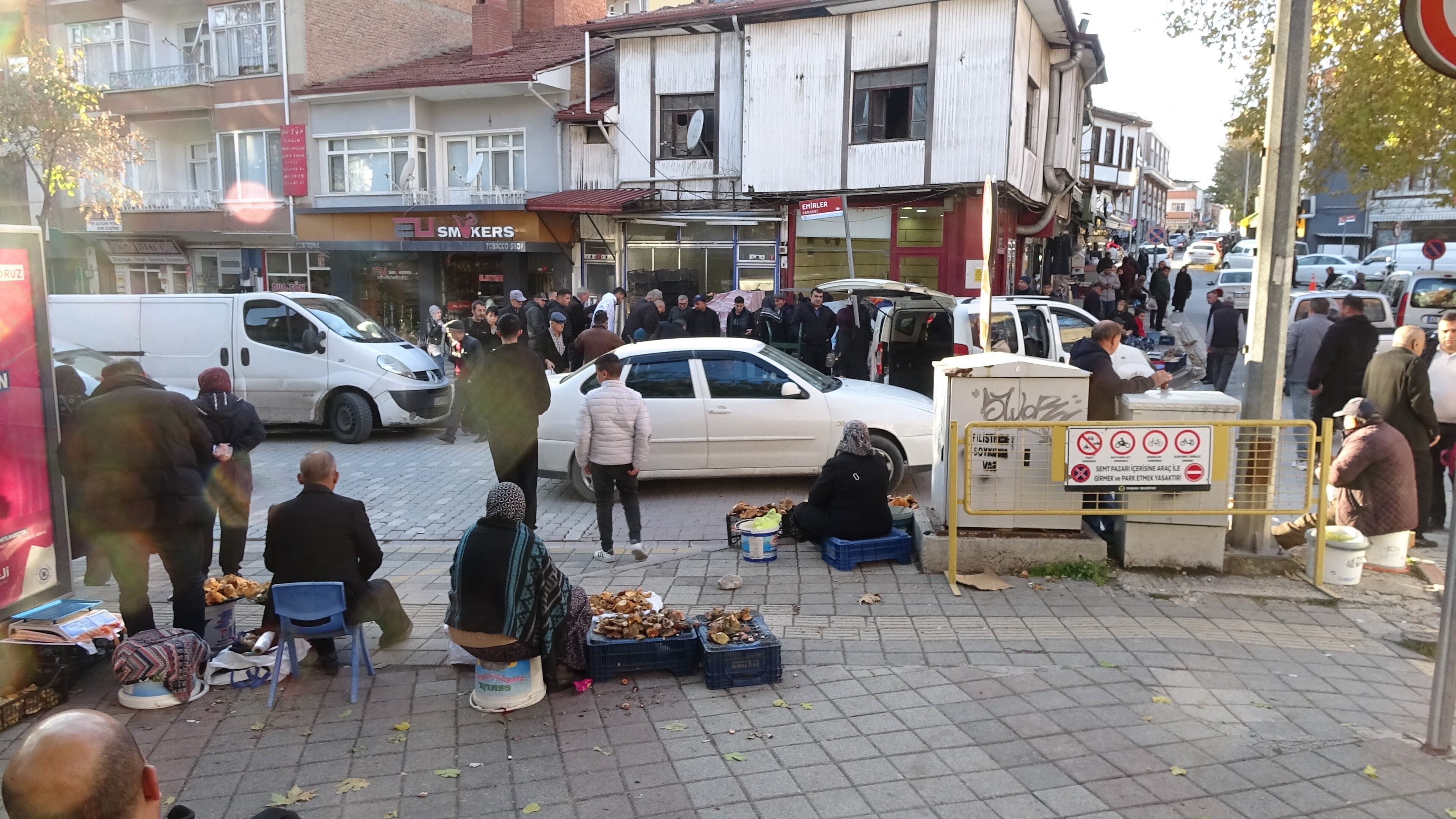 Melki Mantarı Çoğaldı, Fiyatlar Şaşırttı (8)