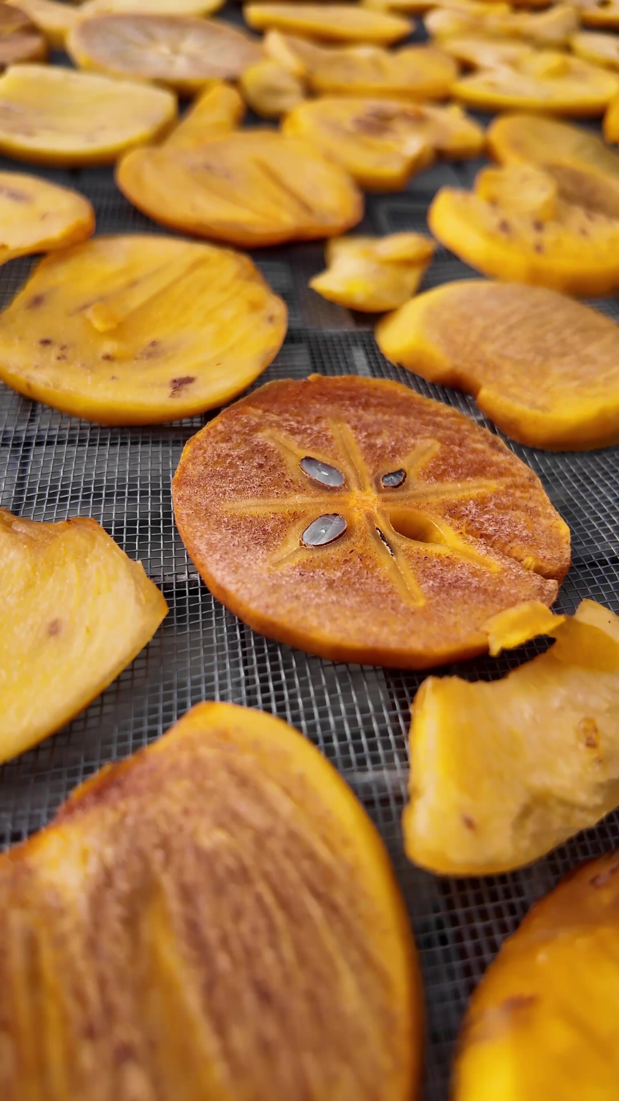 Meşhur Cennet Hurmasını Böyle Denediniz Mi (2)