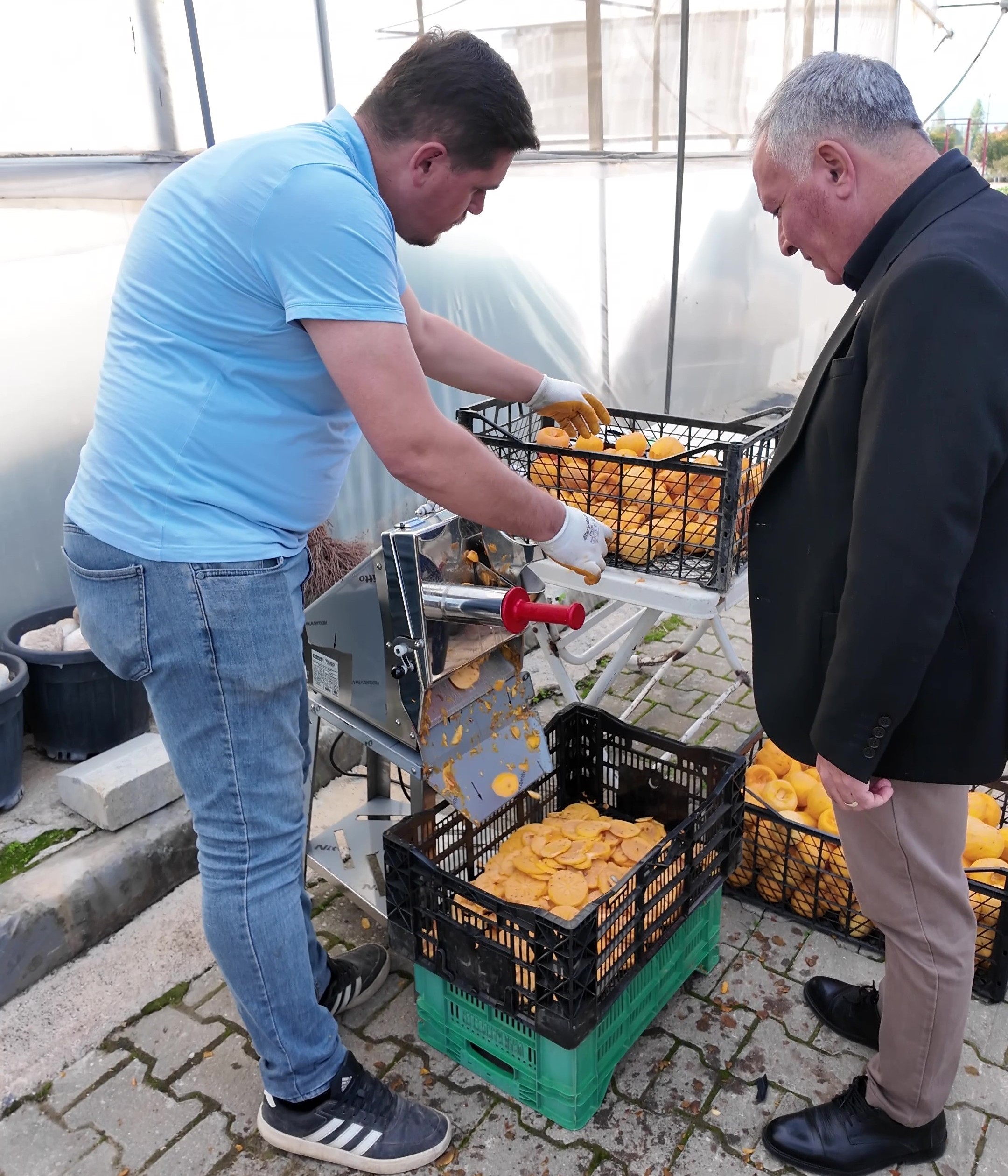 Meşhur Cennet Hurmasını Böyle Denediniz Mi (5)