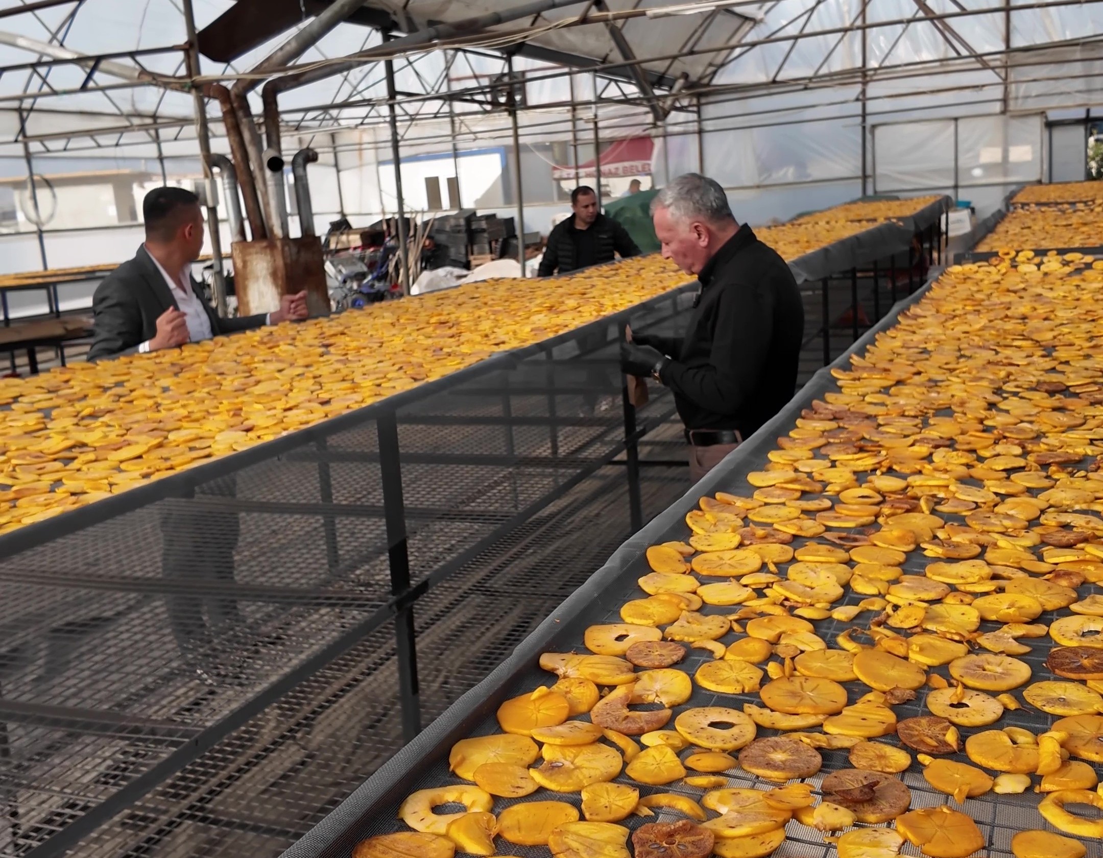 Meşhur Cennet Hurmasını Böyle Denediniz Mi (7)