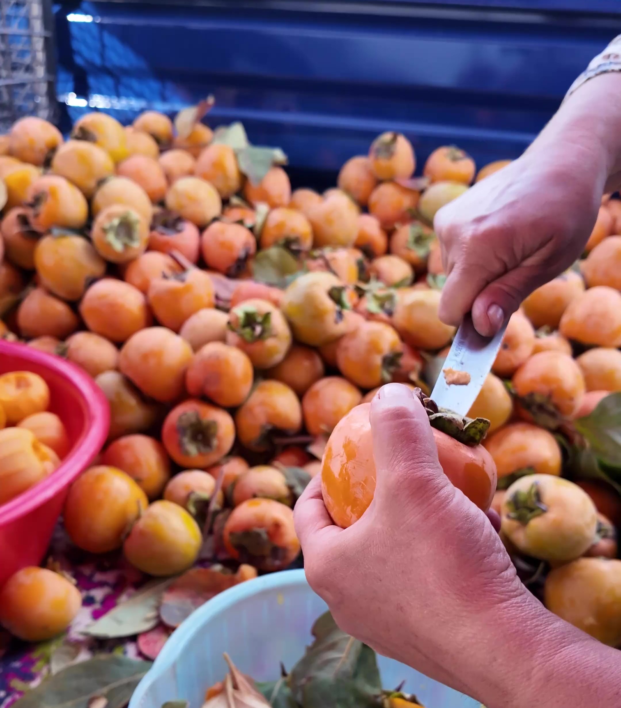 Meşhur Cennet Hurmasını Böyle Denediniz Mi (9)