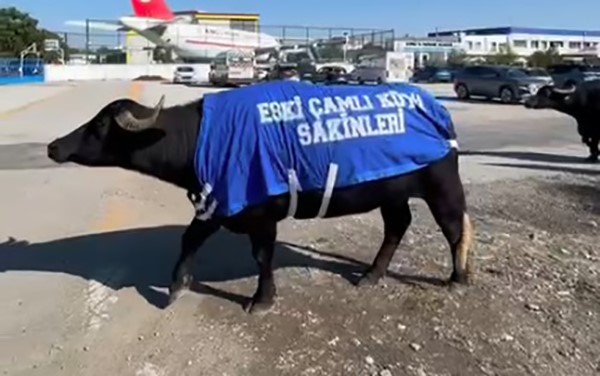 Okul Sahibinden Mandalı Protesto (3)