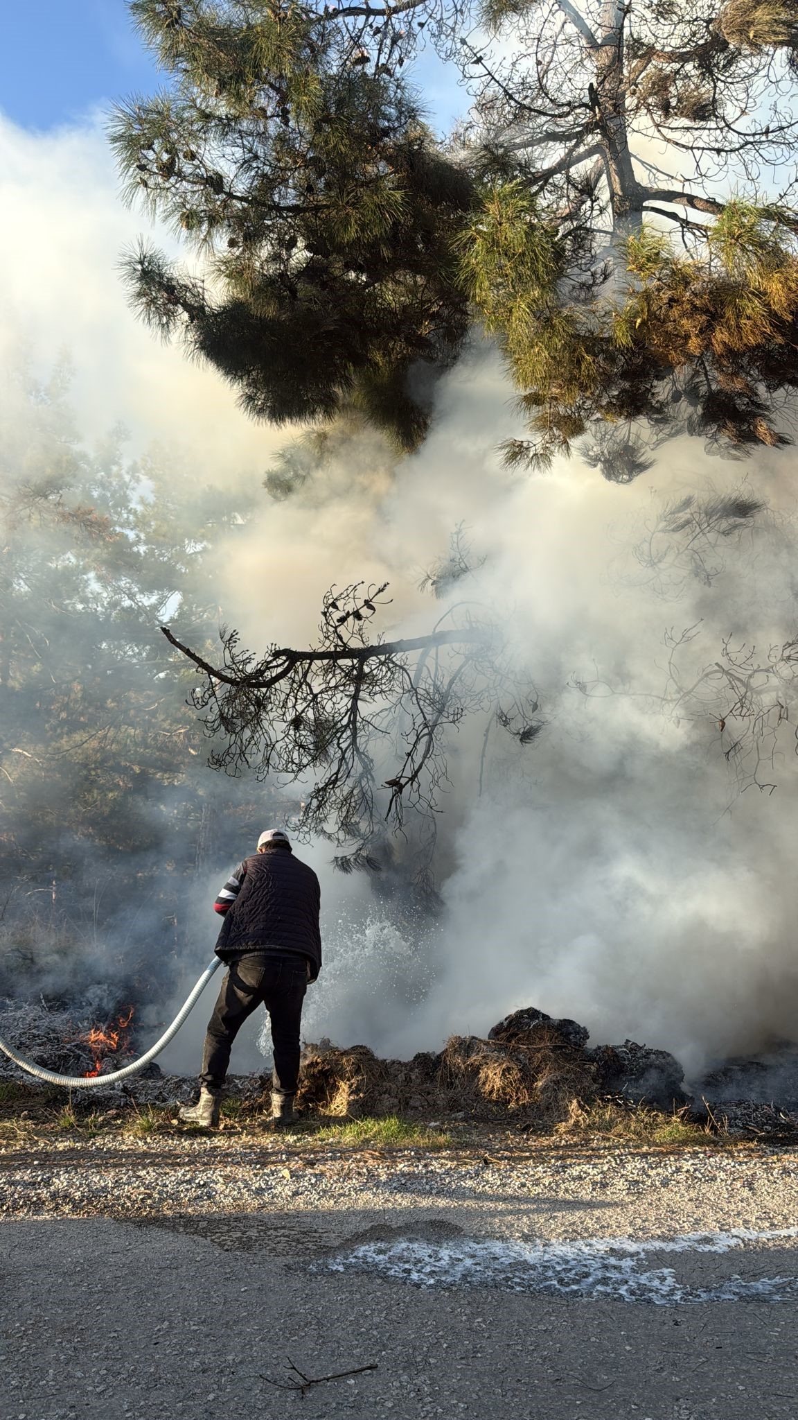 Orman Yangınında Alevlere Sütle Müdahale Etti (3)