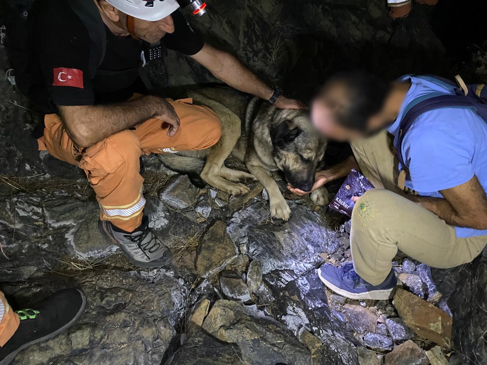 Ormanlık Alanda Bulundu (3)