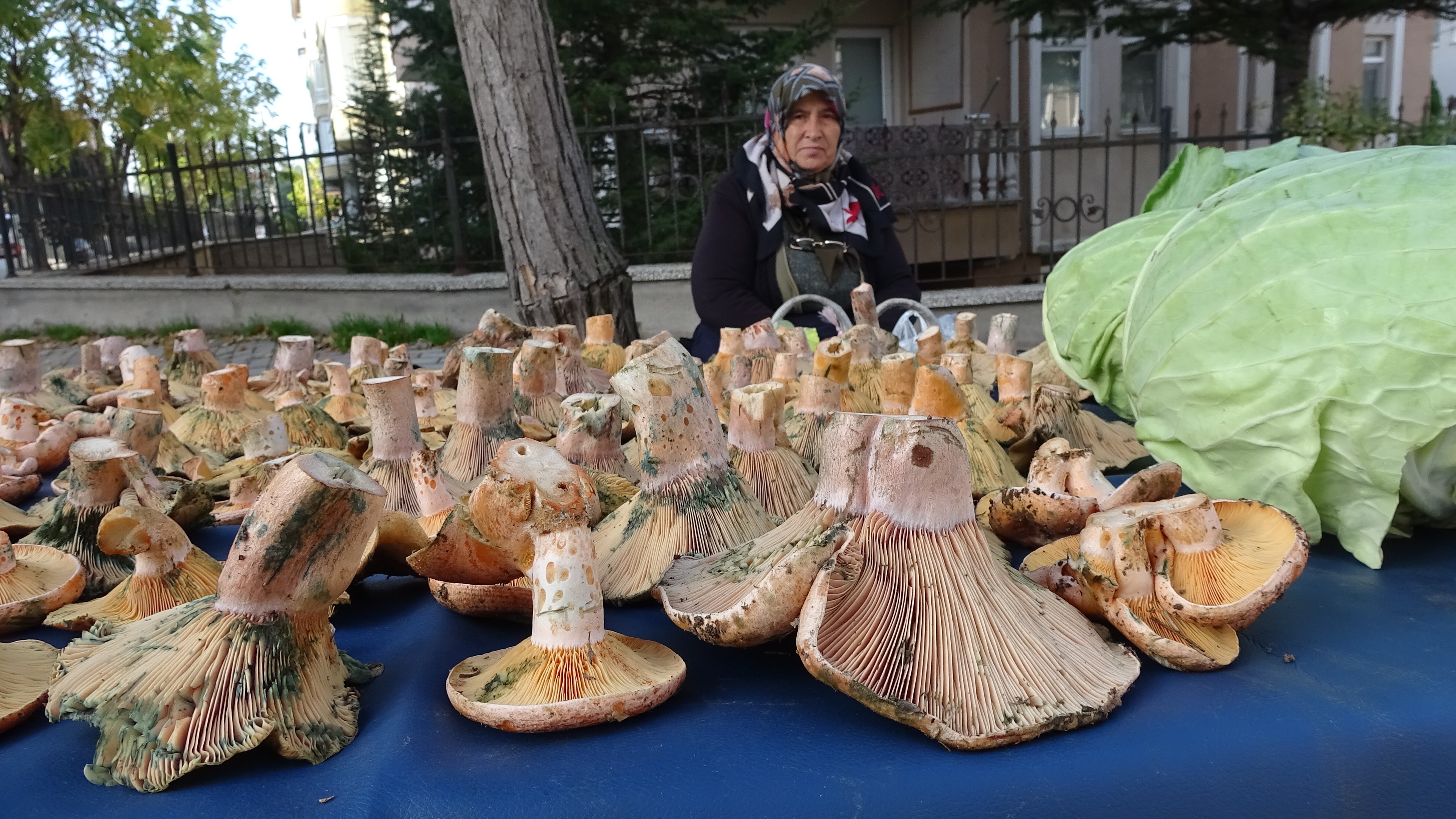 Pazar Tezgahlarında Melki Bereketi (2)